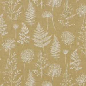 French Garden Mustard