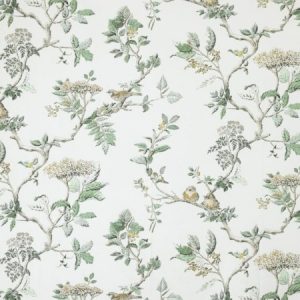 Elderwood Fern Green