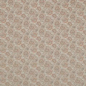 Painswick Painsley Apricot