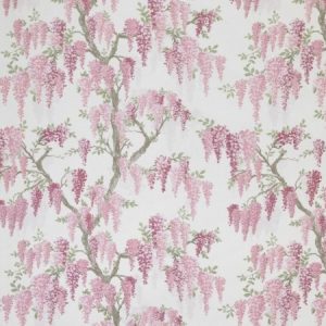 Wisteria Coral Pink