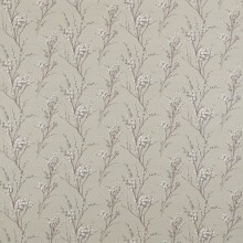 Pussy Willlow Natural