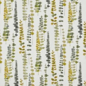 Sacremento Chartreuse