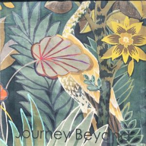 Journey Beyond Collection