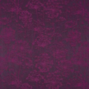 Fennel Flower Damson