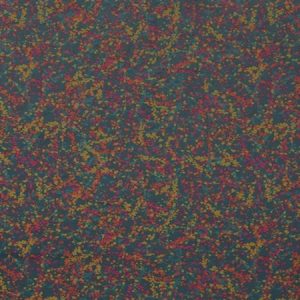 Maidenhair Vine Rainbow