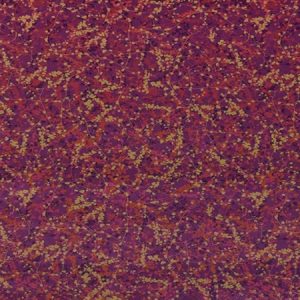 Maidenhair Vine Sunset