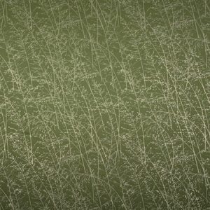 Whispering Grass Olive