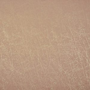 Whispering Grass Shell